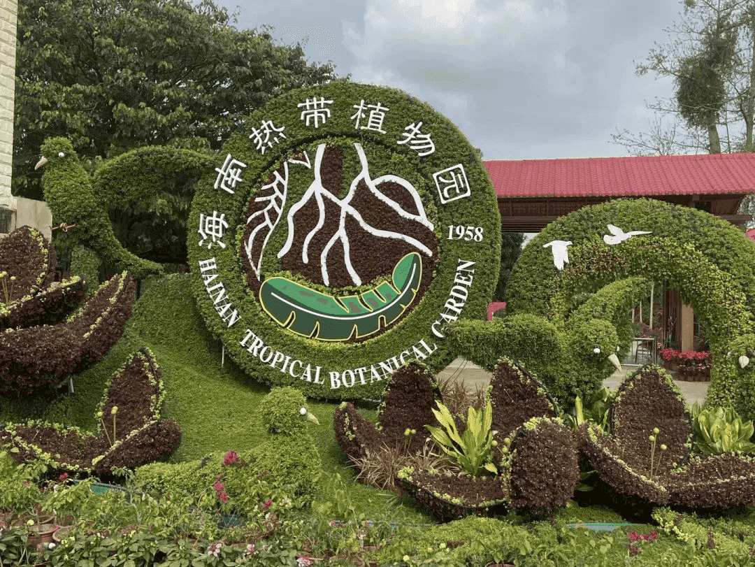 2024海南热带植物园门票(附价格表+优惠政策+购买入口)